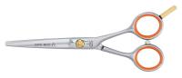 DS 1255